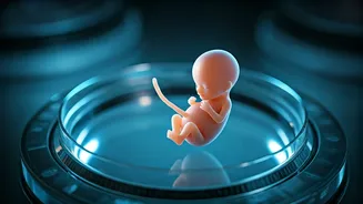 Pregnancy Timelines Demystified: Why 6 Weeks Seems So Soon After Marriage