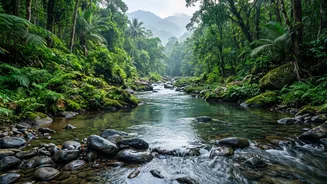 Kerala Biodiversity Survey: What New Ecological Data Reveals About Regional Ecosystem Health