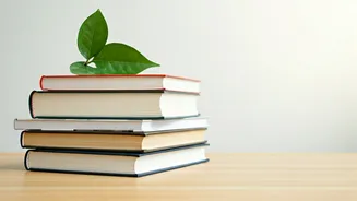 Ace Your Exams: 6 Stress-Free Study Secrets from a 99.25% Scorer