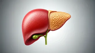 Your Desk Job is Damaging Your Liver: Reversing Fatty Liver with Simple Office Habit Changes