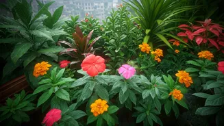 Monsoon-Friendly Plants Every Balcony Gardener Should Try
