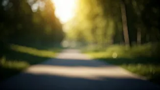 Why Doctors Recommend A Gentle Walk After Meals