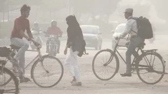 Bareilly Schools Closed: Classes up to 8 to remain shut for three days as dense fog blankets city