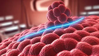 Revolutionary Under-Skin Lung Cancer Therapy Debuts in India: A Faster, Patient-Friendly Approach