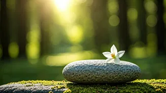 Related Stories banner