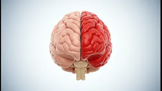 Brain-Friendly Living Includes Blood-Pressure Care And Tobacco Avoidance