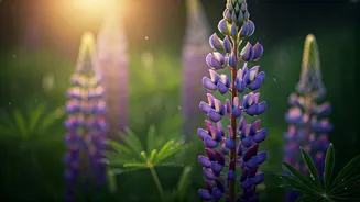 Bloom Trips Are Perfect For Calm Photo Walks