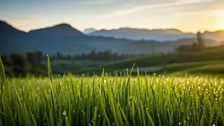 Outdoor Plans Need Mornings, Evenings And Flexibility