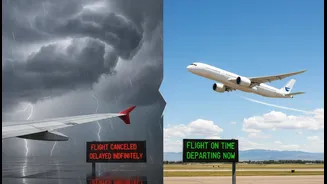 Airline Policies Can Change By Route Even During The Same Weather Event
