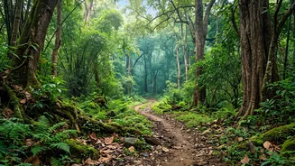Understanding IRCTC Wildlife Tours From Mumbai: New IRCTC Wildlife Holiday Packages From Mumbai