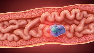 Celiac Disease: Understanding Gluten's Impact on Your Small Intestine