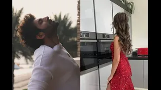 Kartik Aaryan’s Mystery Girl Deletes ‘I Don’t Know Kartik’ From Insta Bio, Turns Off Comments