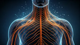 The 24/7 Struggle: How Constant Connectivity Fuels Your Body's Stress Response