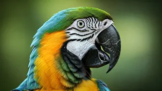 Parrots Have Secrets You Won't Believe!