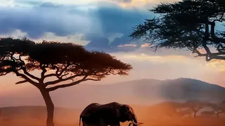 National-Park Plans Should Include Nature Experiences Outside Safari Hours