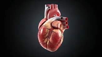 Heart Racing Mid-Workout? Decoding Supraventricular Tachycardia