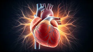 Unlocking Your Body's Signals: Hidden Signs to Watch For