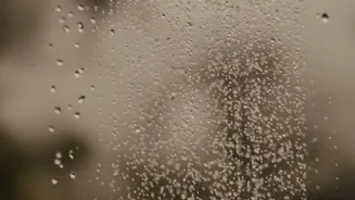 Scientific Benefits Of Brief Cold Shower Exposure On Mental Alertness And Stress