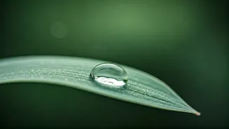 Unlock Radiant Skin: The Art of Gentle Cleansing