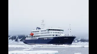 Cepa andina: hantavírus transmissível entre humanos é confirmado em navio