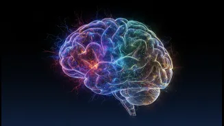 Brain Health Is A Long-Term Pattern, Not A Seven-Day Challenge