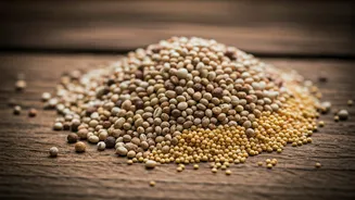 India Rediscovers Traditional Fiber Foods