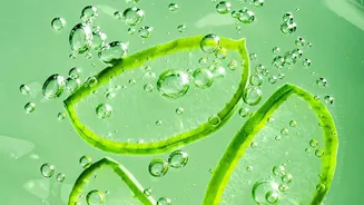 Seven DIY Facial Ideas That Focus on Hydration and Gentle Exfoliation
