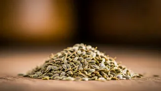 Dill Seeds: 5 Amazing Health Benefits for Women