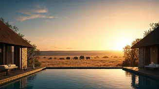 Africa's Top New Safari Lodges: Luxury Meets Wilderness in Style