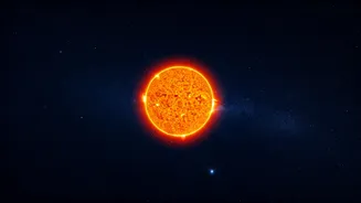 Sun's Scorpio Transit: Zodiac Sign Impacts