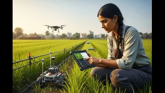 Related Stories banner