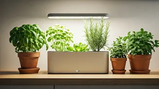 Countertop Greens Are The New Apartment Decor Win