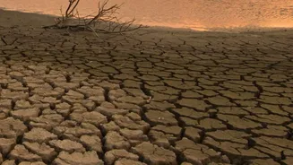 Temperature Alone Can Understate Monsoon Heat Stress