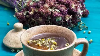 Hydration With A Twist: Natural Herbal Brews That Rejuvenate Mind And Body