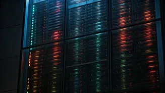 Texas H-1B Visa Freeze: Implications for Private Firms