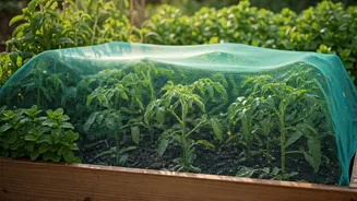 Beyond Mint: Expert Advice on Kindly Deterring Squirrels from Your Garden