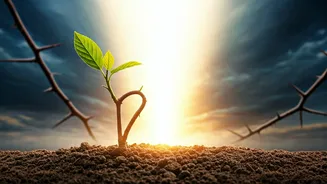 Related Stories banner