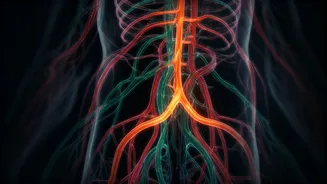 Related Stories banner