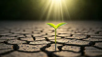 Break Free from the Grip of Regret: Practical Steps to Reclaim Your Present and Future