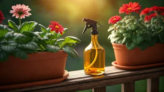 Use Simple Home-Brewed Banana Peel Spray For Balcony Blooms