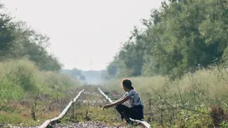 Budget Rail Circuit Passes Make Central India’s Tiger Reserves Accessible To Solo Backpackers