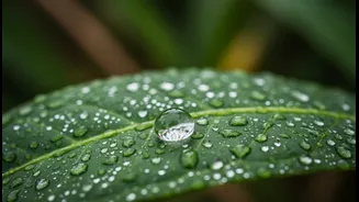 The Biggest Skincare Mistakes This Rainy Season