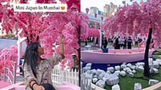 Experience Mini Japan In Mumbai: Japanese Garden, Cherry Blossoms & Much More At Lower Parel Palladium Mall