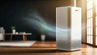 Air Purifiers: Clean Air for India's Homes