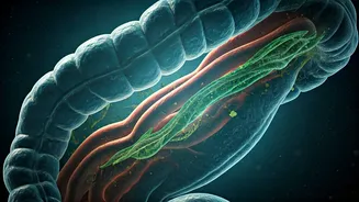 Fibremaxxing: Harvard Doctor Unpacks the Truth - Benefits, Risks, and Smart Strategies