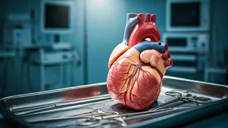 Understanding Cardiac Arrest Risks: Insights from a Cardiologist