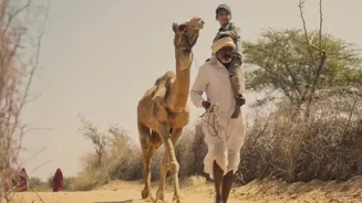 Movies in theatres this week: Ranveer Singh’s Dhurandhar: The Revenge, Aadu 3, and Ustaad Bhagat Singh