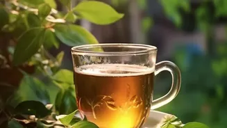 Five Steps to Host a Relaxed Garden Tea Party while Shading Guests Properly