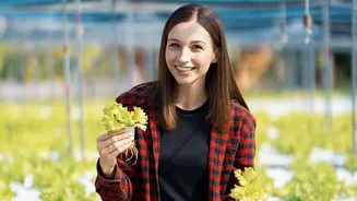 Mushroom micro-factories aid urban food