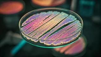 Gut Resilience: A New Perspective on Microbial Chaos